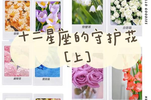 十二星座适合什么的花朵