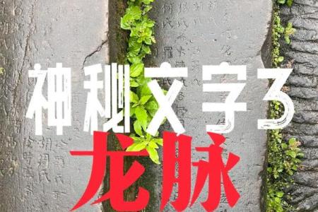传说中的风水祖坟故事都有哪些