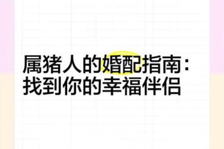 属猪的婚姻配对最佳 属猪的婚配宜忌