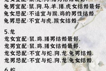 生肖和血型完美匹配你是哪种组合
