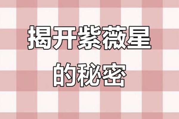 千千万万的紫薇星
