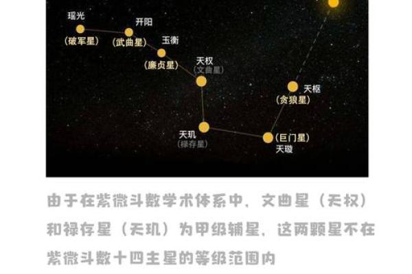 飞星紫薇斗数下载