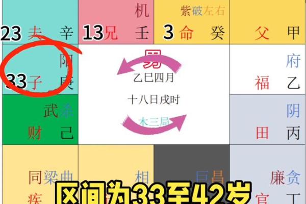 紫微斗数排盘