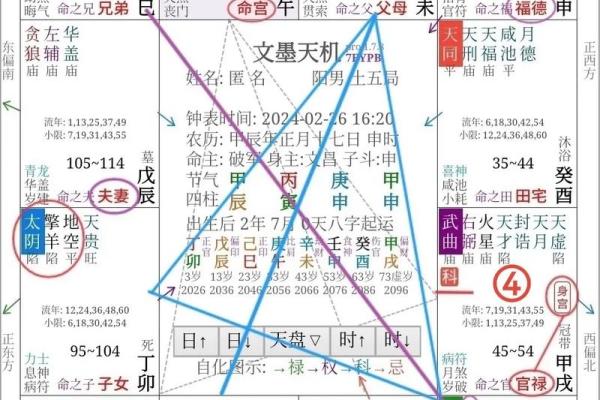 紫薇斗数命格