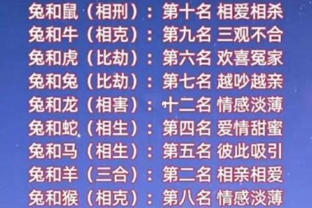网红姓名配对 名字网红？