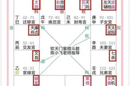 紫微斗数排盘