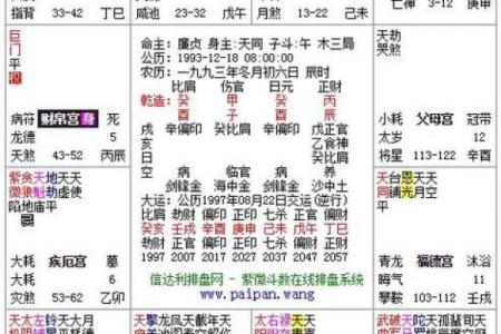 紫薇斗数命格