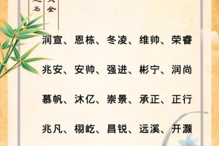 2019年4月6号辰时出生的男孩要怎么起名字姓名