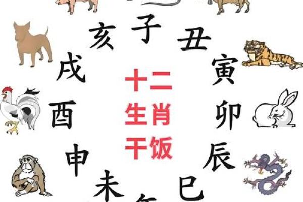 属蛇的十二星座