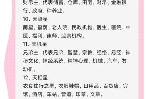 紫薇斗数专业名词