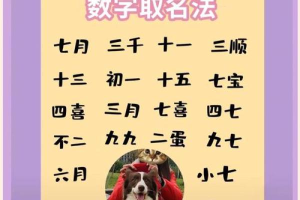 上午11点出生的属狗男孩怎么取名，用什么字好姓名