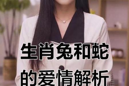 属兔的婚姻配对最佳