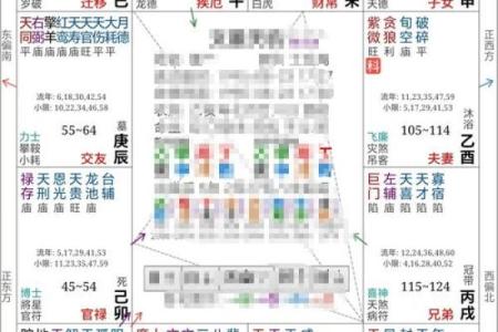 紫微斗数看未来配偶学历 紫微斗数看另一半学历？
