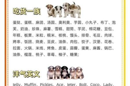 上午11点出生的属狗男孩怎么取名，用什么字好姓名