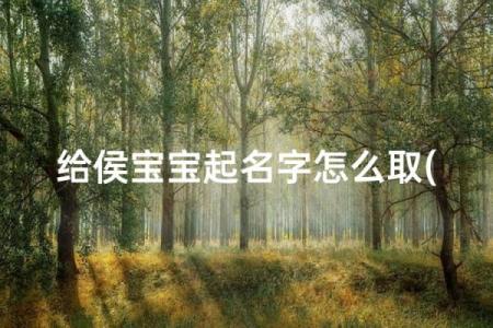 8月份出生的属猴男孩名字取什么好姓名