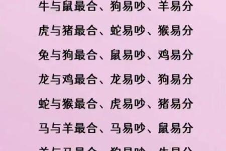 1991年属什么生肖配对