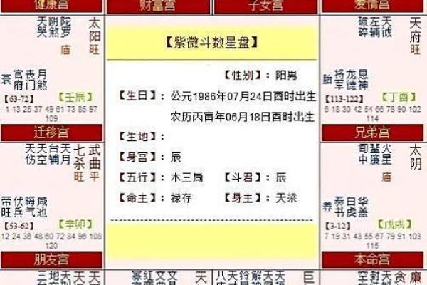 紫薇斗数行限详解