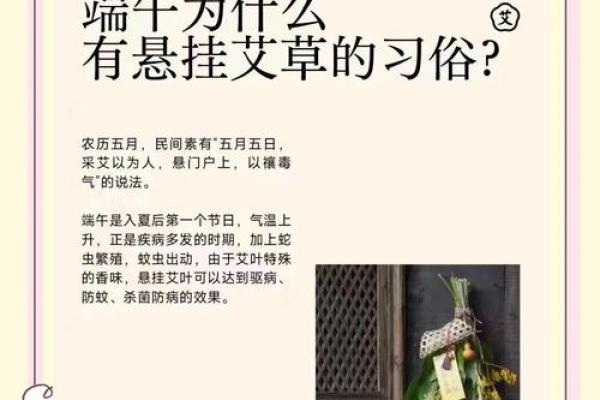 为什么艾草不能送人有什么风水说法
