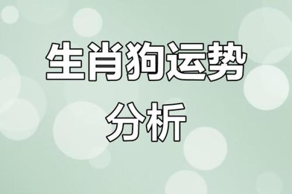 属狗的财运方位 从地支所在方向查看 西北方和东方都是不错的