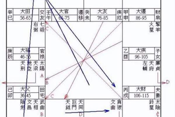 中洲紫薇斗数