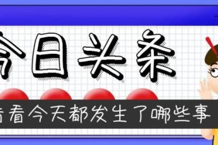 结婚吉日在线播放 结婚吉日在线查询？
