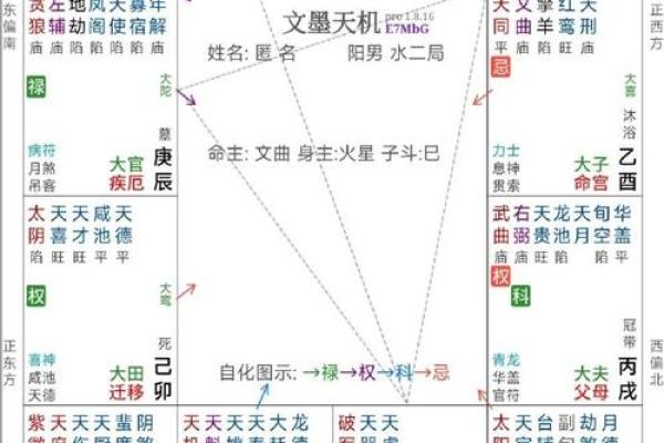 紫薇斗数看命运