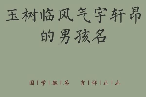 2019年3月17号巳时出生的男孩应该起什么样的名字姓名