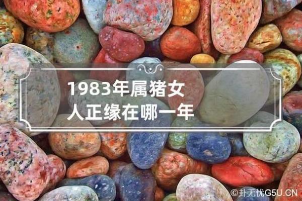 属猪正缘出现在哪年 属猪人婚姻配对表