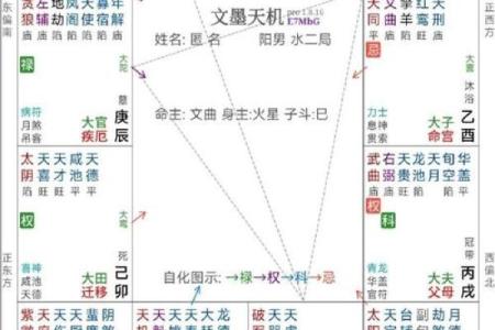 紫薇斗数看命运