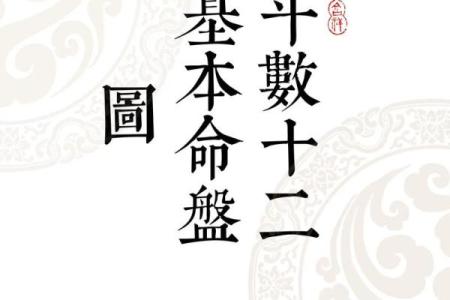 紫薇斗数先天命盘怎么看
