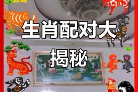 配对要谨慎的生肖组合