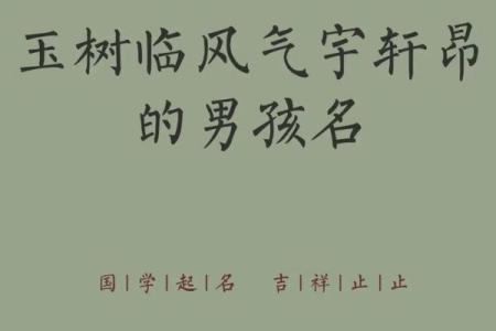 2019年3月17号巳时出生的男孩应该起什么样的名字姓名