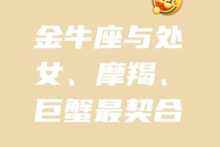 金牛座和什么星座可以结婚吗女生
