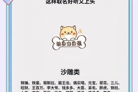 属狗女生好听的小名有哪些？女孩洋气的小名汇总姓名