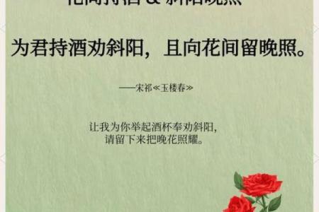 寻找有情人姓名配对 寻找有情人的诗句？