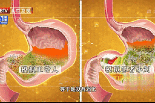恋爱后血型智商降低程度