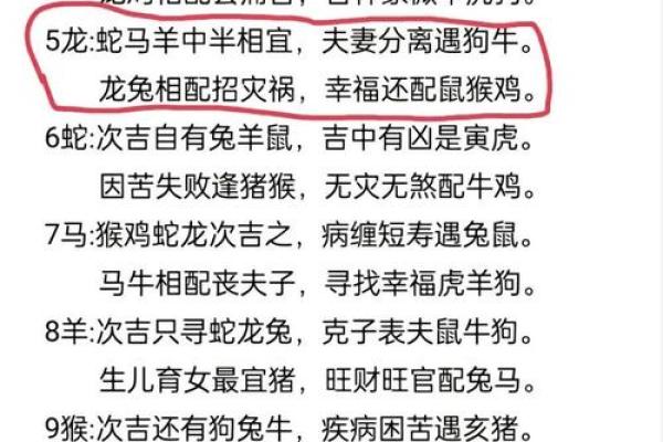 八字看属相