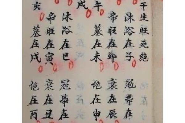 批八字注册码
