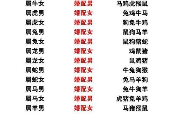 1996年属什么生肖配对 属相婚配表解析