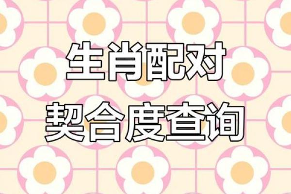 姓名配对测试免费下载网站 姓名配对测试app？