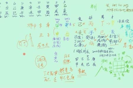批八字注册码