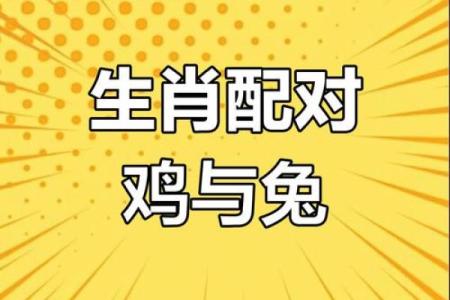1981年属什么生肖配对