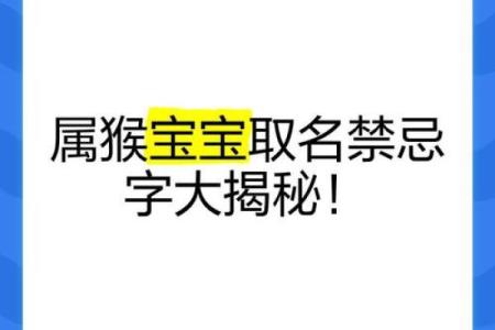 中午十二点出生的属猴男孩如何取名，适合什么字姓名