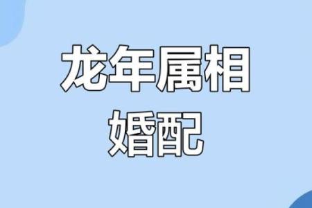 龙生肖配对姻缘 龙生肖配对排名？