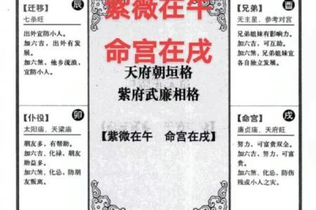 大限紫薇斗数吧