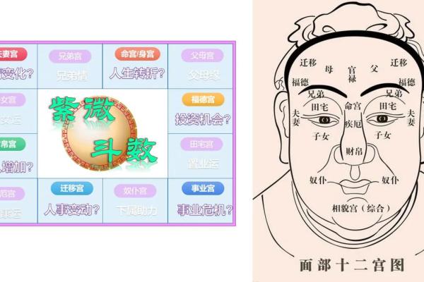 紫薇斗数命宫看性格