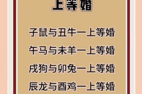 十二生肖婚配大全表 12生肖婚姻最佳配对表图片