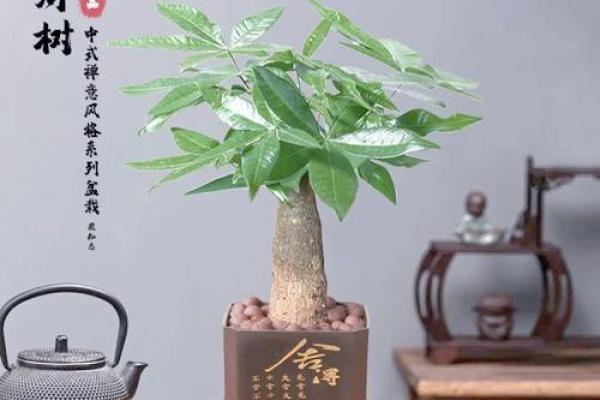 可以助力于一个人家居风水的摆件