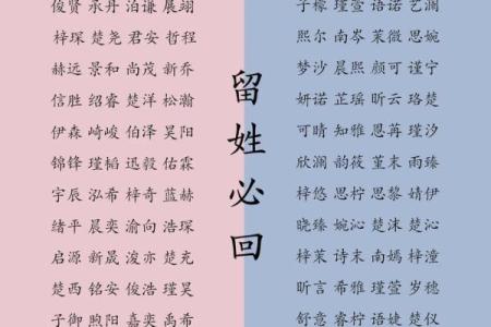 2019年3月19号午时出生的男孩起名时要注意什么姓名