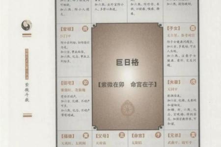 紫薇斗数太阴在戌